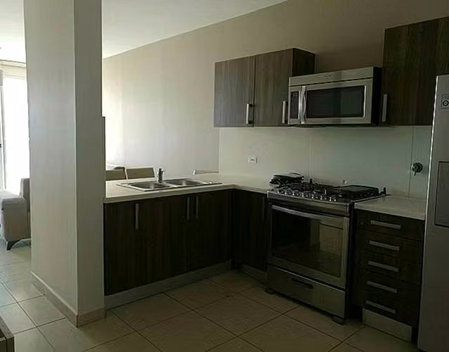 Venta PH Oasis Vista al Mar Punta Pacifica - Imagen 4