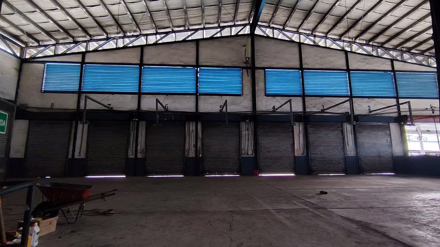 Alquiler de Bodega de 10000 m2 en Milla 8 - Imagen 2