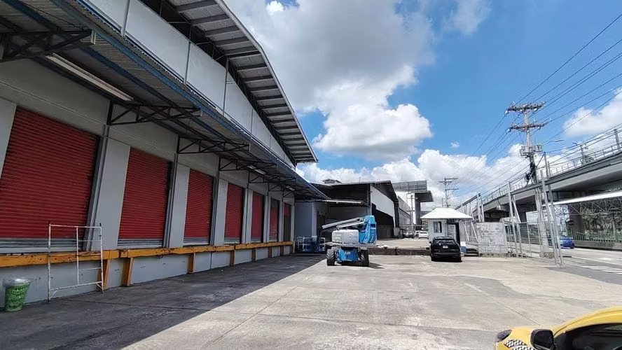 Alquilo Bodega de 10000 m2 Vía Transistmica  - Imagen 15
