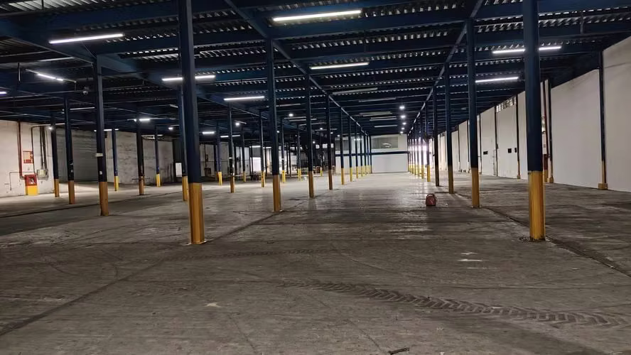 Alquilo Bodega de 10000 m2 Vía Transistmica  - Imagen 8