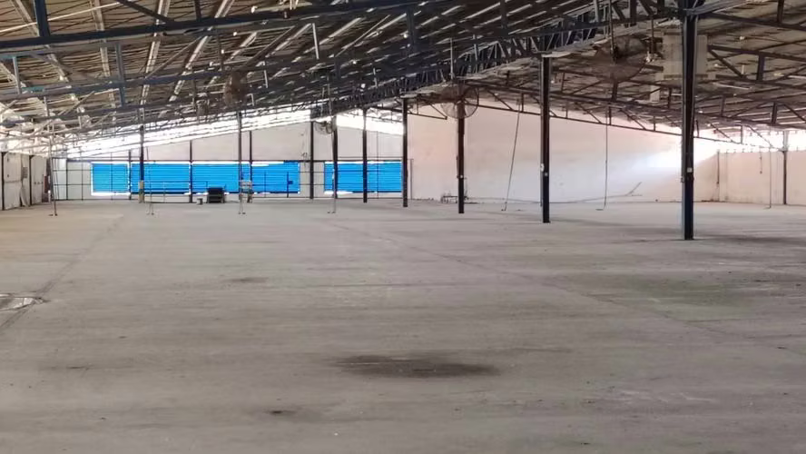 Alquilo Bodega de 10000 m2 Vía Transistmica  - Imagen 12