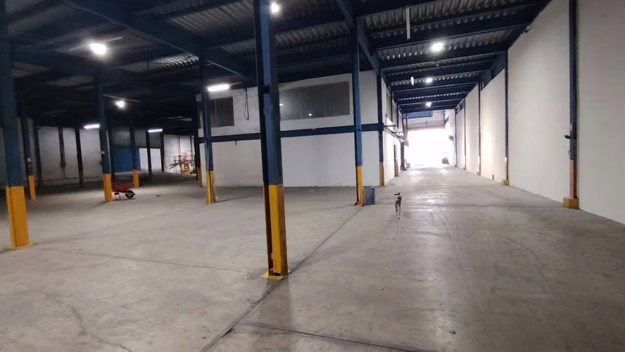 Alquilo Bodega de 10000 m2 Vía Transistmica  - Imagen 3