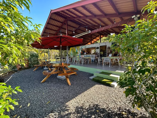 VENTA DE NEGOCIO EN CABANAS COLIBRI EL ESPINO HQ - Imagen 3