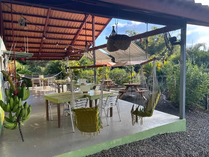 VENTA DE NEGOCIO EN CABANAS COLIBRI EL ESPINO HQ - Imagen 6