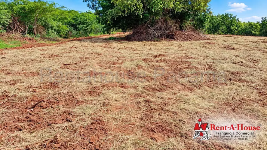 Terreno Agrícola En Venta En Los Santos YS - Imagen 4