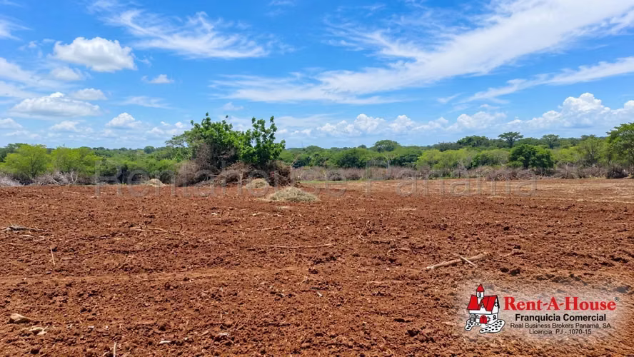 Terreno Agrícola En Venta En Los Santos YS - Imagen 3