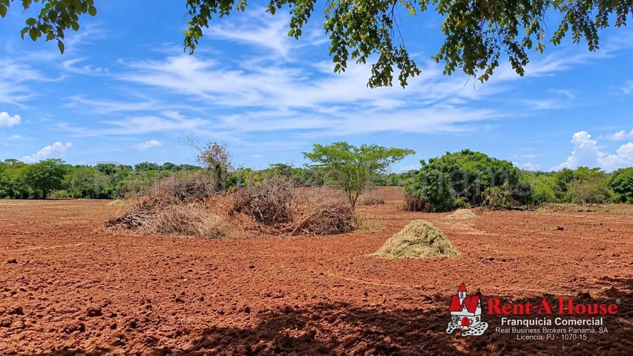 Terreno Agrícola En Venta En Los Santos YS - Imagen 2