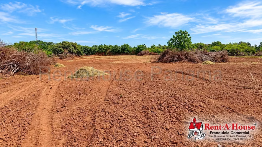 Terreno Agrícola En Venta En Los Santos YS - Imagen 5