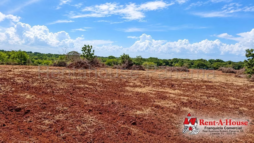 Terreno Agrícola En Venta En Los Santos YS - Imagen 6
