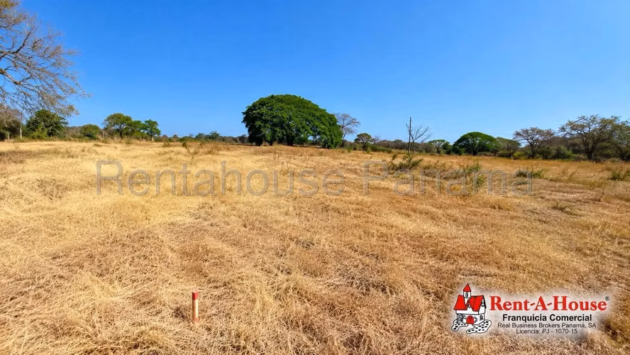 Terreno Comercial En Venta En Los Santos YS - Imagen 5