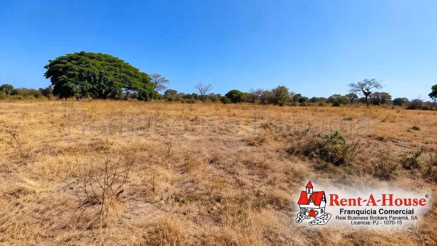 Terreno Comercial En Venta En Los Santos YS - Imagen 4