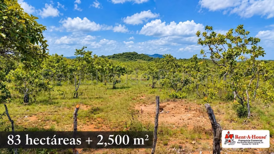 Finca Agropecuaria En Venta En Calobre YS