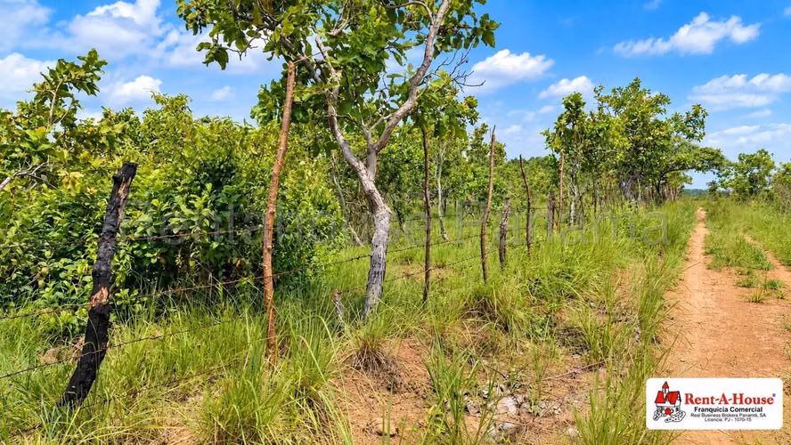 Finca Agropecuaria En Venta En Calobre YS