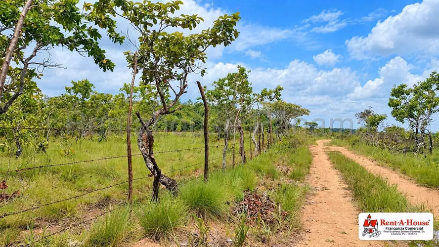 Finca Agropecuaria En Venta En Calobre YS