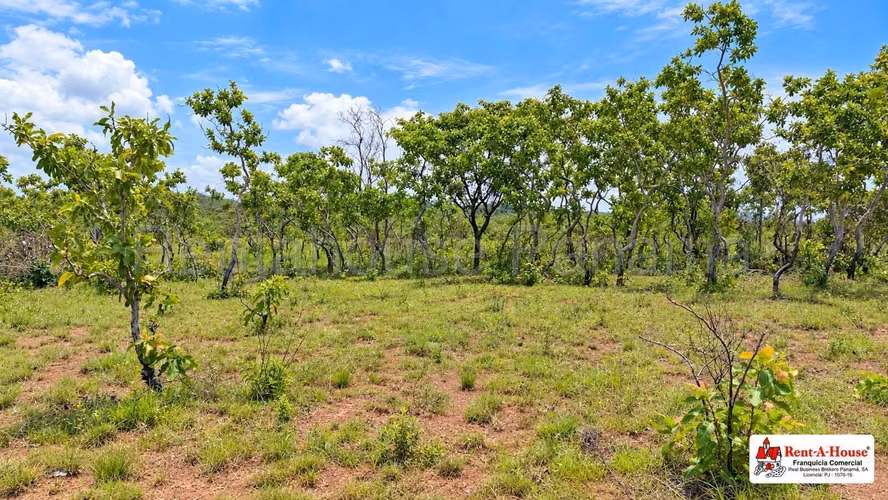 Finca Agropecuaria En Venta En Calobre YS