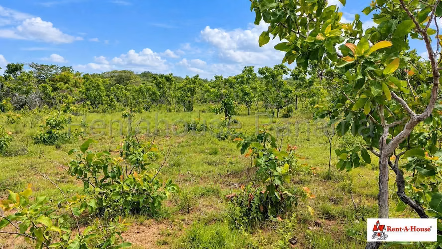 Finca Agropecuaria En Venta En Calobre YS