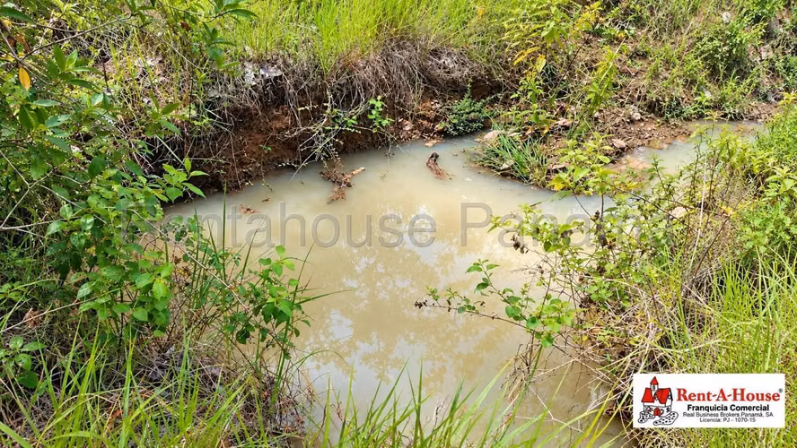 Finca Agropecuaria En Venta En Calobre YS