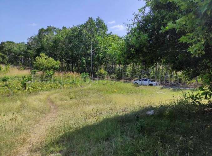 Venta de Terreno en San Carlos 26MGO6281 - Imagen 7