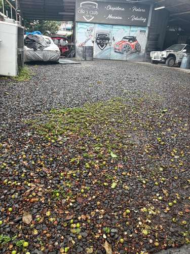 VENTA TERRENO BETANIA PANAMA ID 7116 - Imagen 4