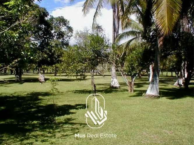 Terreno de Playa en Venta – Río Hato, Antón - RT - Imagen 6