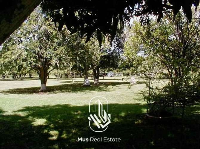 Terreno de Playa en Venta – Río Hato, Antón - RT - Imagen 7