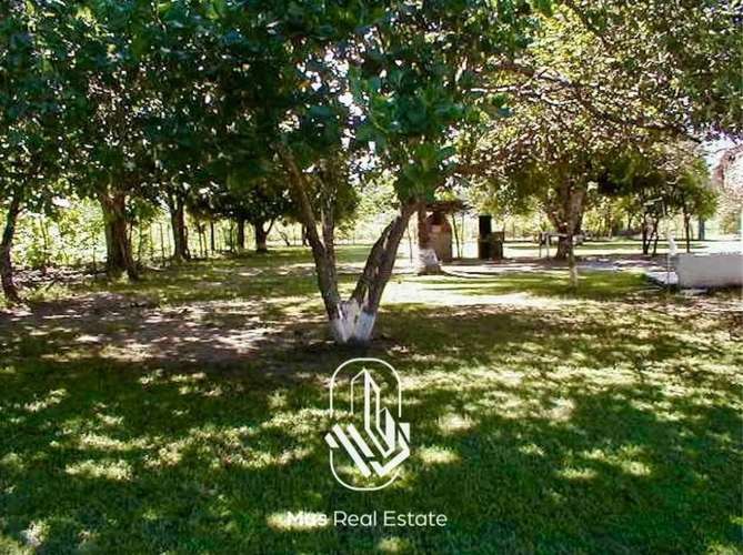 Terreno de Playa en Venta – Río Hato, Antón - RT - Imagen 4