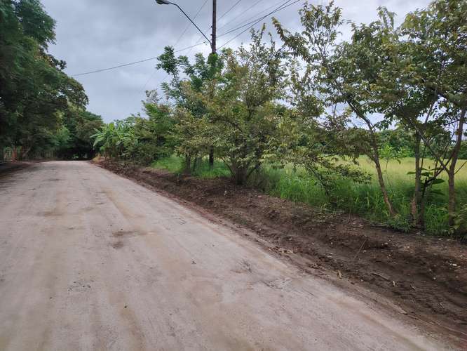 Planos en Anati