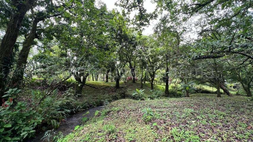 Terreno en Venta Cocle 25SPCG9772 - Imagen 7