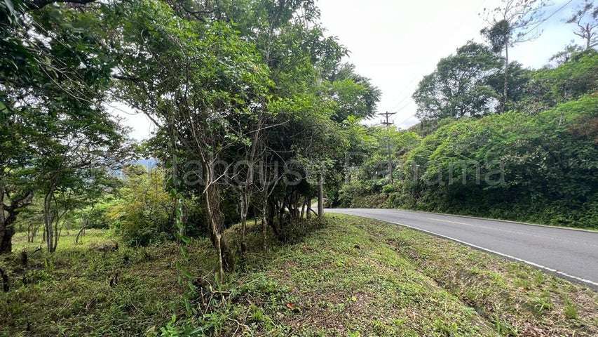 Terreno en Venta Cocle 25SPCG9772 - Imagen 1