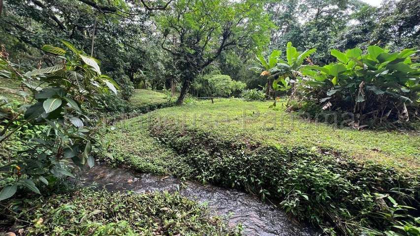 Terreno en Venta Cocle 25SPCG9772 - Imagen 8