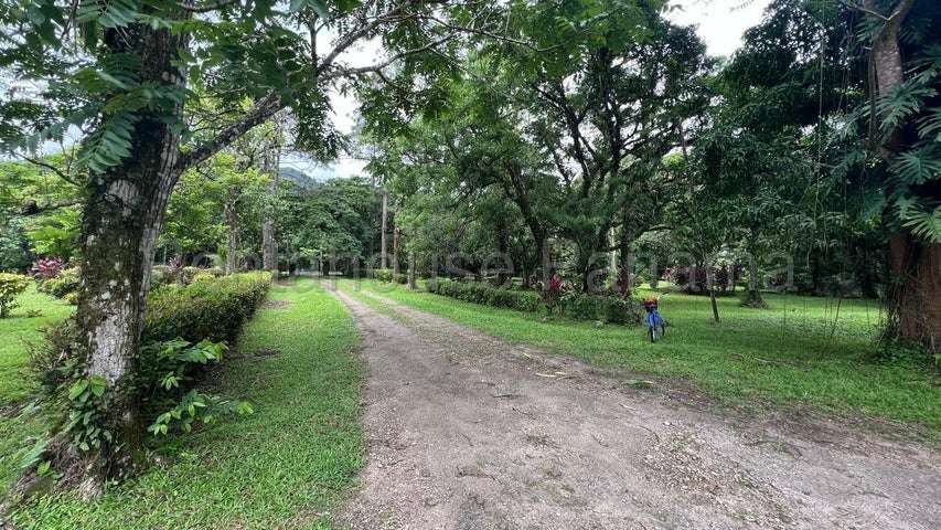 Terreno en Venta Cocle 25SPCG9772 - Imagen 3