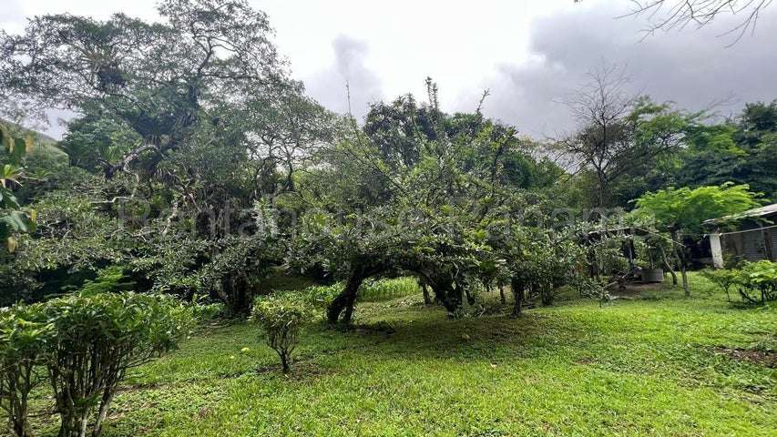 Terreno en Venta Cocle 25SPCG9772 - Imagen 6