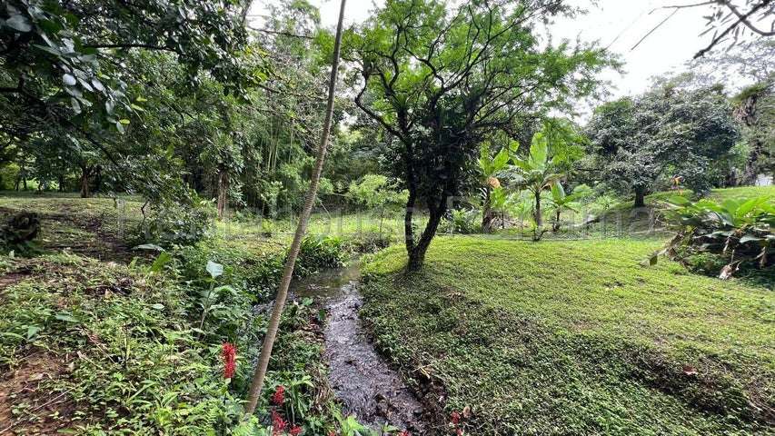 Terreno en Venta Cocle 25SPCG9772 - Imagen 9