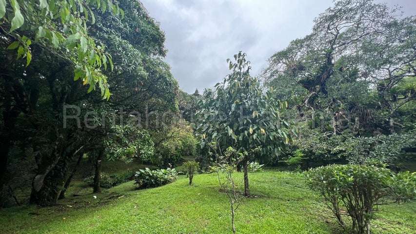 Terreno en Venta Cocle 25SPCG9772 - Imagen 5