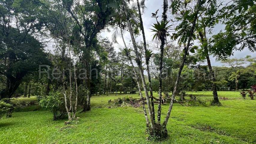 Terreno en Venta Cocle 25SPCG9772 - Imagen 4