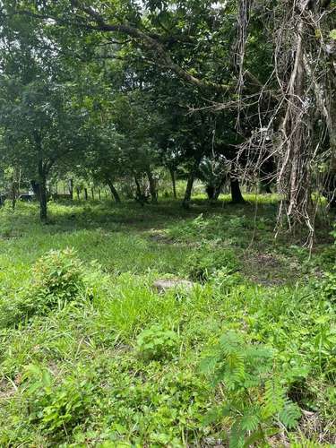 Terreno Amplio Cerca de Boquete Panama - Imagen 7