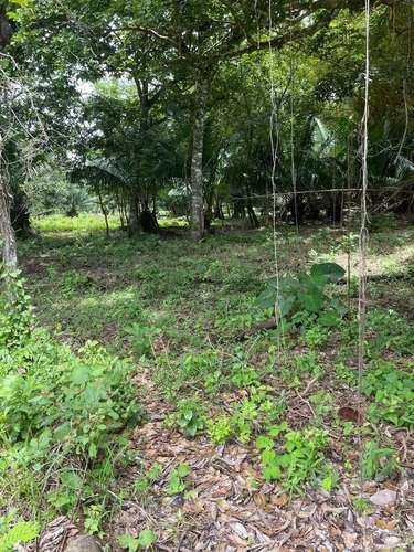 Terreno Amplio Cerca de Boquete Panama - Imagen 10