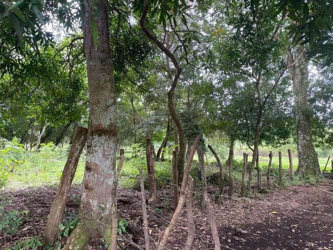 Terreno Amplio Cerca de Boquete Panama - Imagen 9