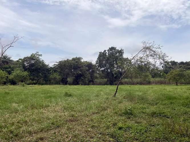 Terreno Amplio Cerca de Boquete Panama - Imagen 2