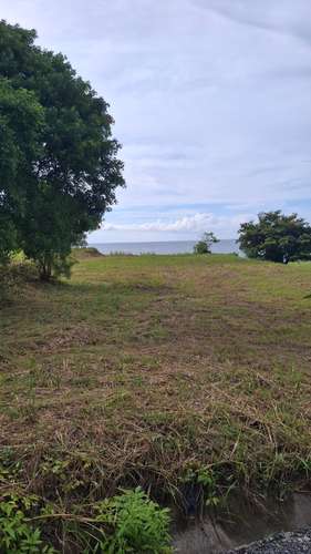 Caelo. Terreno frente al mar 1230mts $485,000.00  - Imagen 4