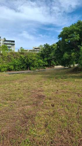 Caelo. Terreno frente al mar 1230mts $485,000.00  - Imagen 5