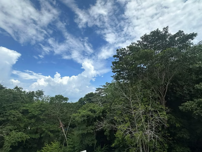 Alquiler en Albrook | Apartamento equipado en Forest Gate $1,400 - Imagen 6