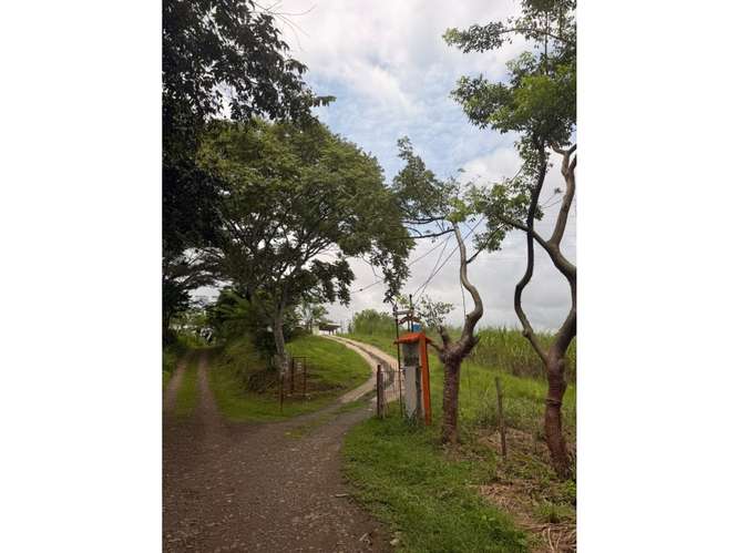 SE VENDE FINCA GANADERA 8.8 HECTAREAS EN CHORRERA LAS MENDOZA