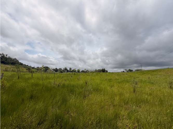 SE VENDE FINCA GANADERA 8.8 HECTAREAS EN CHORRERA LAS MENDOZA