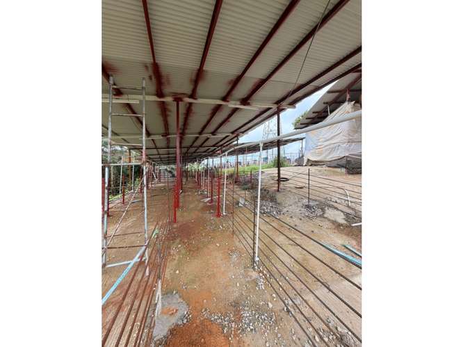SE VENDE FINCA GANADERA 8.8 HECTAREAS EN CHORRERA LAS MENDOZA
