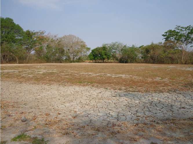 SE VENDE TERRENO COCLÉ EL CHIRÚ PLAYA 4400M SEGUNDA LINEA DEL MAR