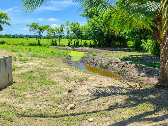 SE VENDE TERRENO COCLÉ EL CHIRÚ PLAYA 4400M SEGUNDA LINEA DEL MAR