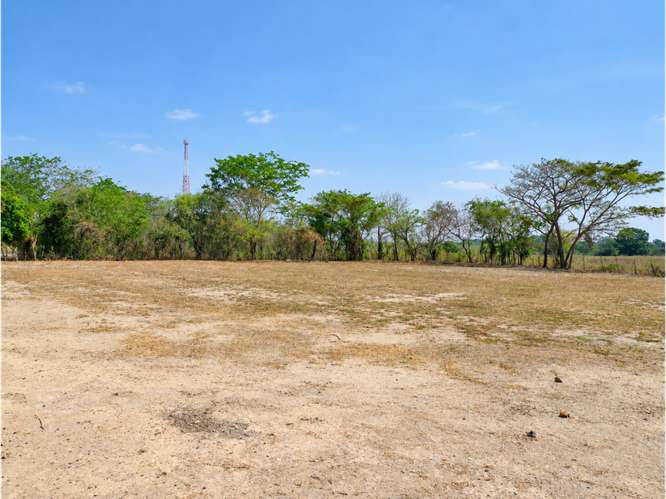 SE VENDE TERRENO COCLÉ EL CHIRÚ PLAYA 4400M SEGUNDA LINEA DEL MAR