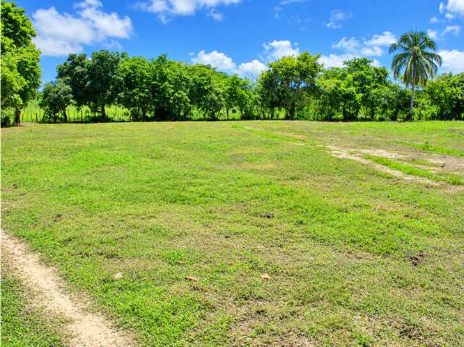 SE VENDE TERRENO COCLÉ EL CHIRÚ PLAYA 4400M SEGUNDA LINEA DEL MAR - Imagen 11