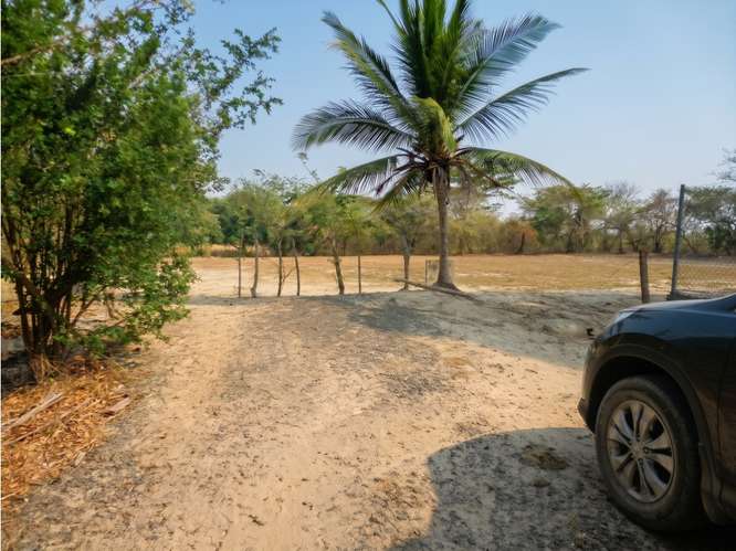 SE VENDE TERRENO COCLÉ EL CHIRÚ PLAYA 4400M SEGUNDA LINEA DEL MAR - Imagen 15